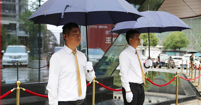 91视频免费看污