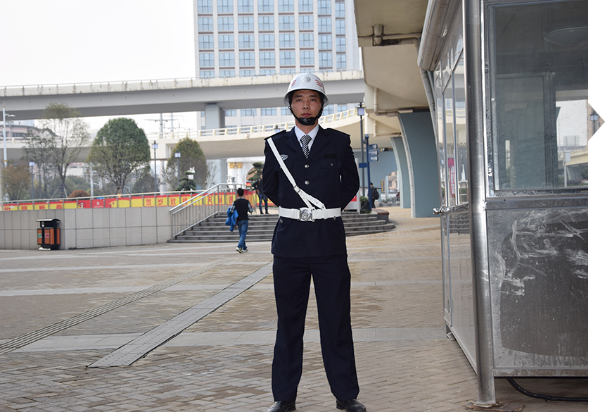 91视频下载官网