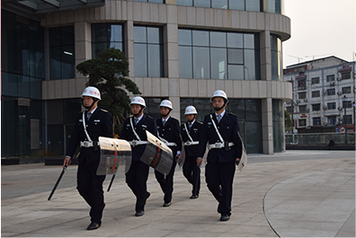 91视频下载官网