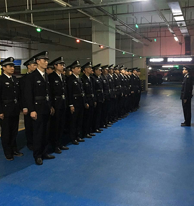 91视频下载官网 91视频下载官网