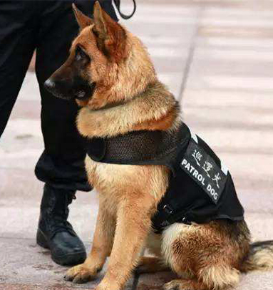 91视频免费看污 91视频免费看污