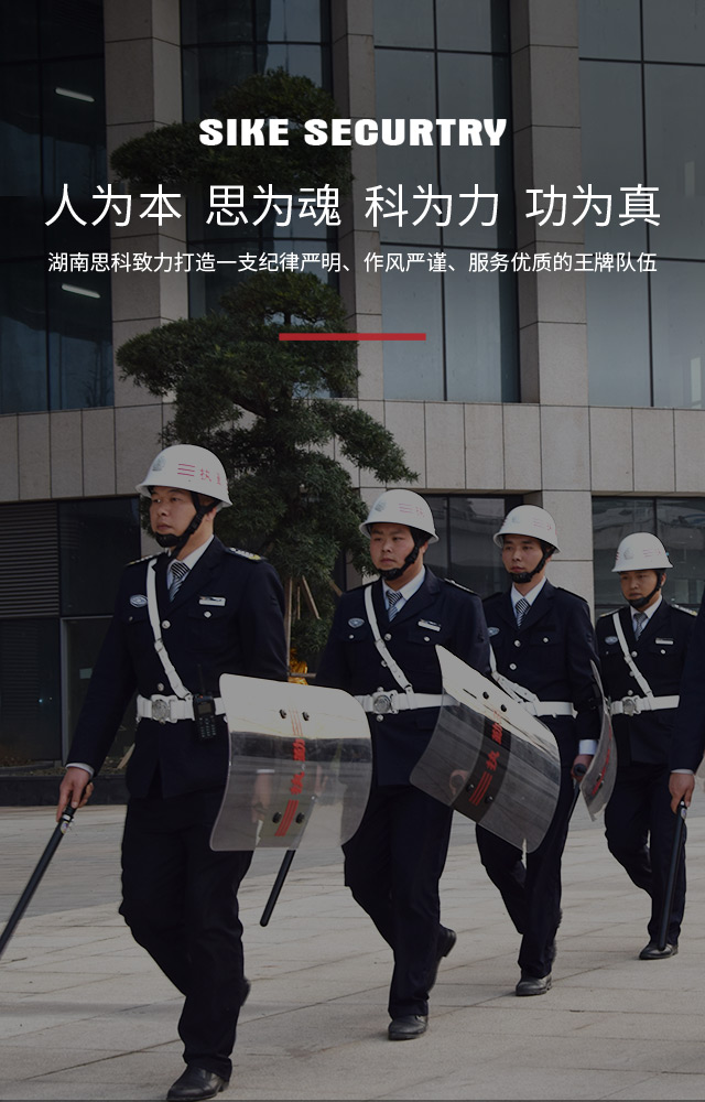 91视频下载官网