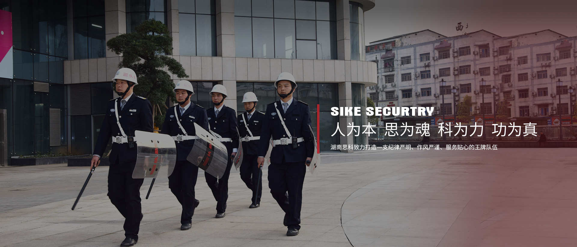 91视频下载官网