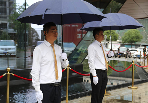 91视频下载官网